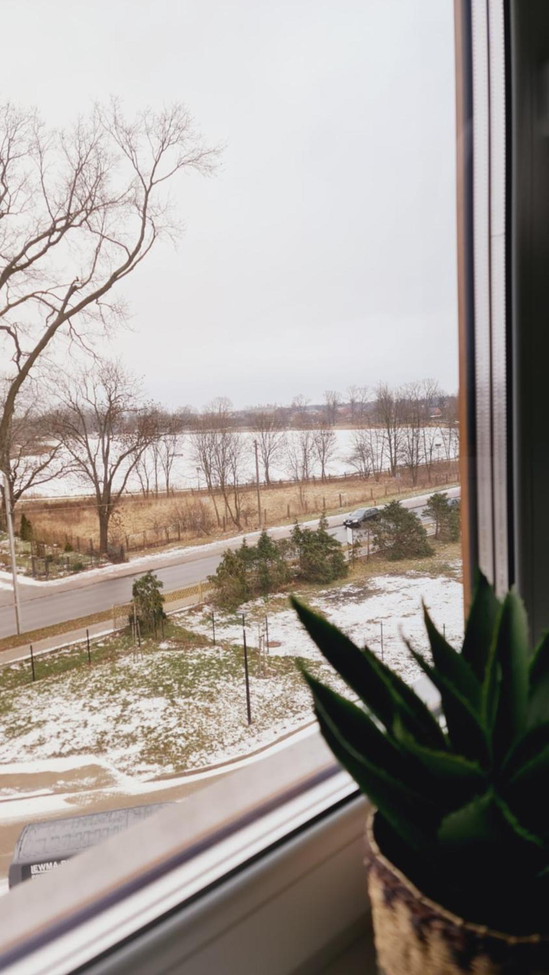 Apartament 31 Z Sauna Rowery, Spacery W Dolinie Baryczy - 5D Apartamenty Милич Екстериор снимка
