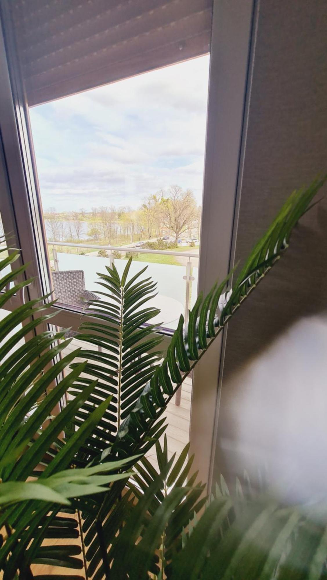 Apartament 31 Z Sauna Rowery, Spacery W Dolinie Baryczy - 5D Apartamenty Милич Екстериор снимка
